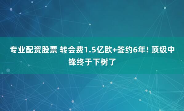 专业配资股票 转会费1.5亿欧+签约6年! 顶级中锋终于下树了