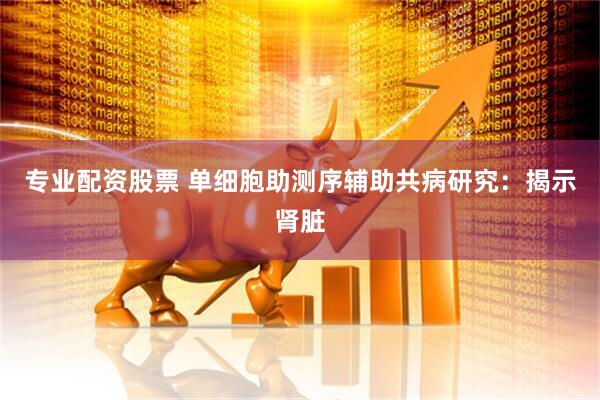 专业配资股票 单细胞助测序辅助共病研究：揭示肾脏