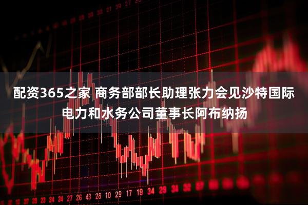 配资365之家 商务部部长助理张力会见沙特国际电力和水务公司董事长阿布纳扬